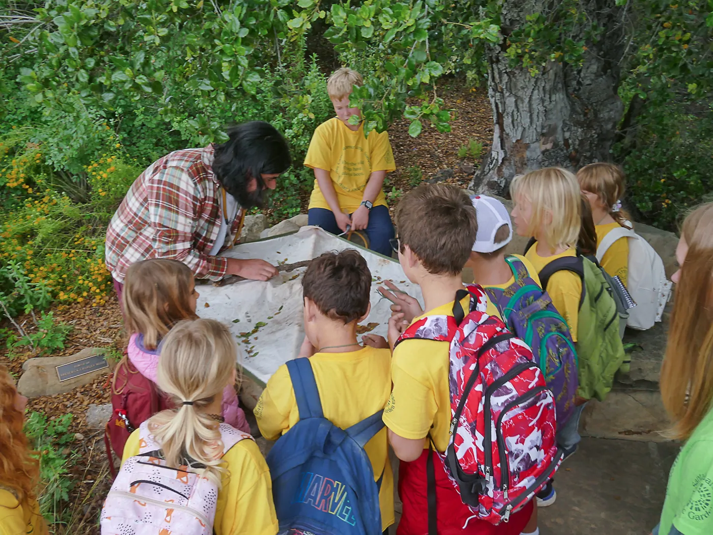 Neighbors in Nature Camp, Beat sheeting activity