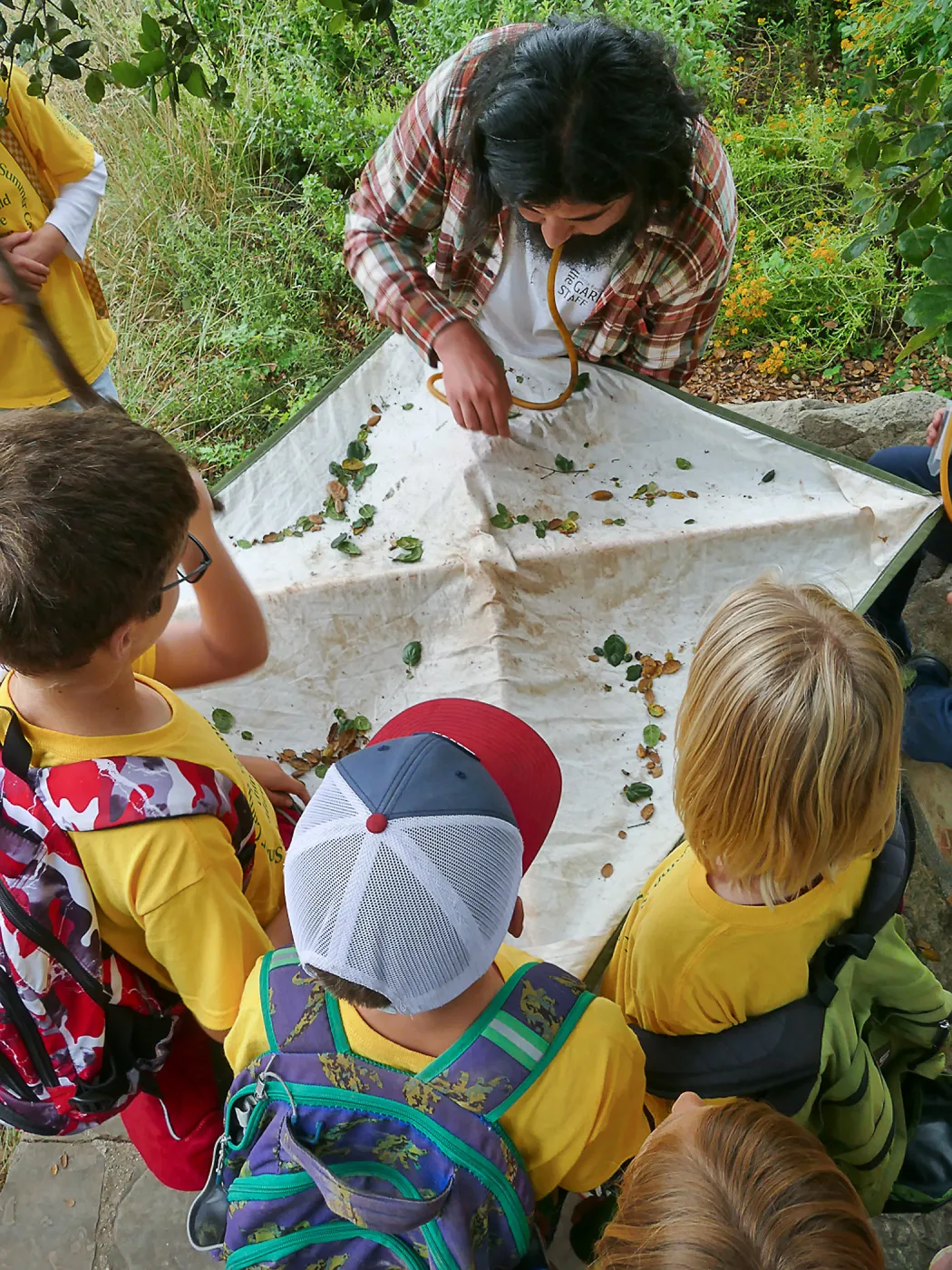 Neighbors in Nature Camp, Beat sheeting activity