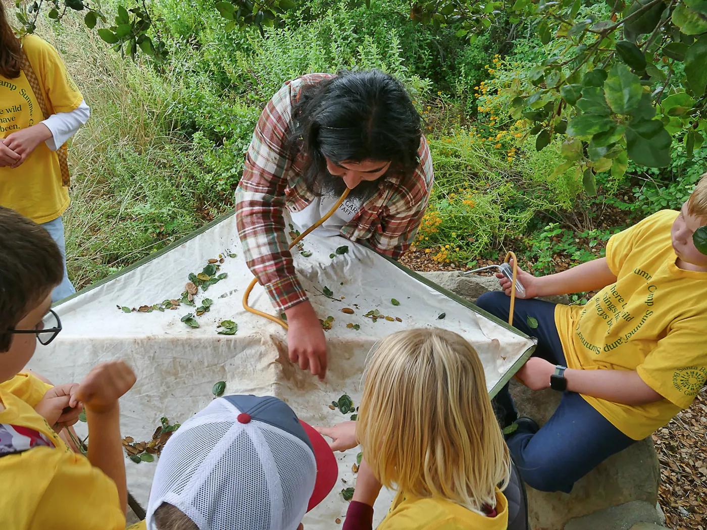 Neighbors in Nature Camp, Beat sheeting activity