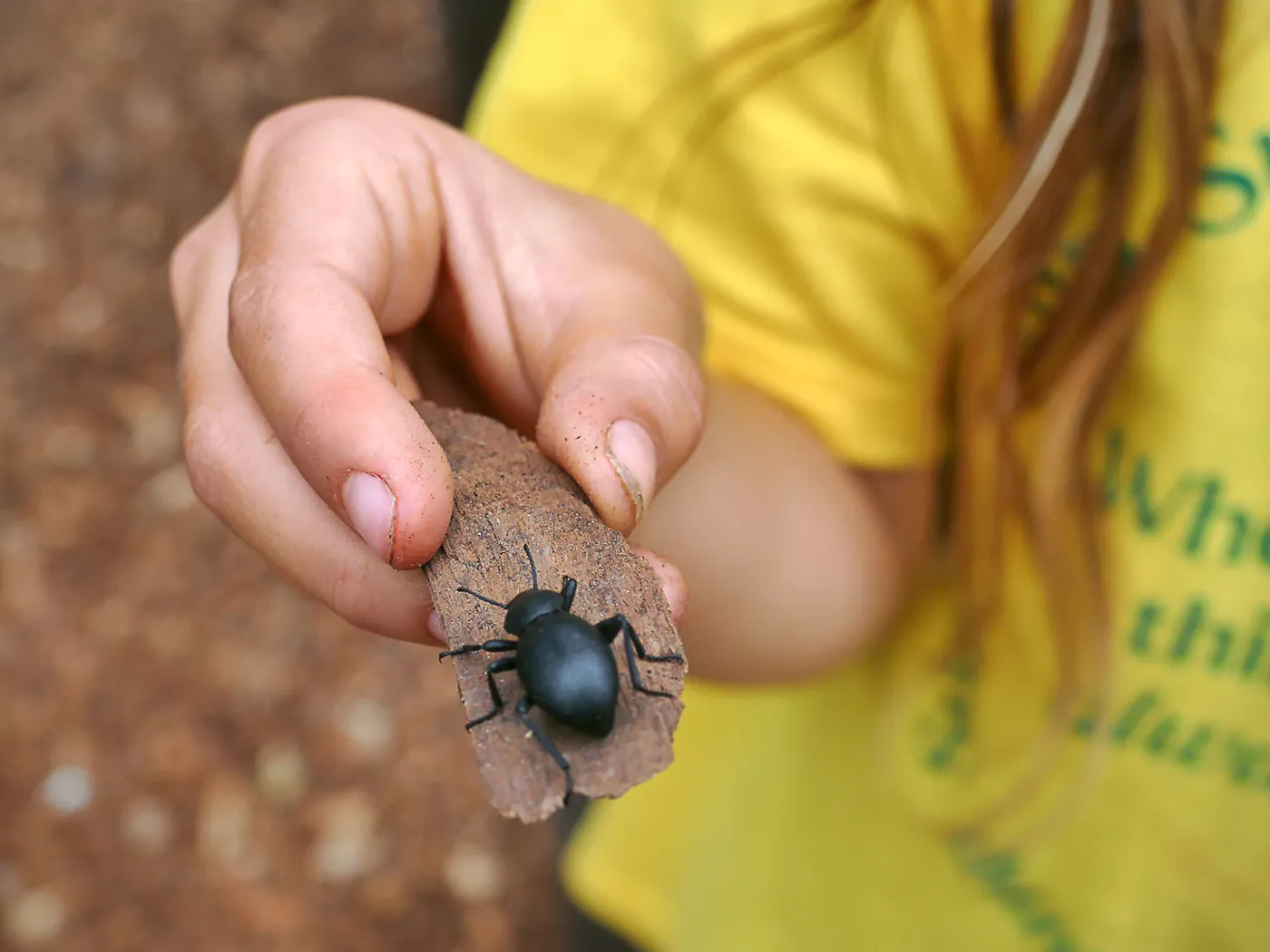 Neighbors in Nature Camp