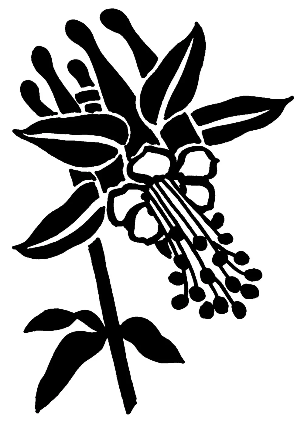 Columbine