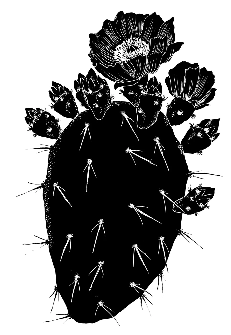 Prickly Pear