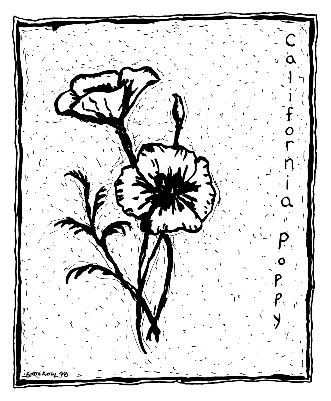 California Poppy