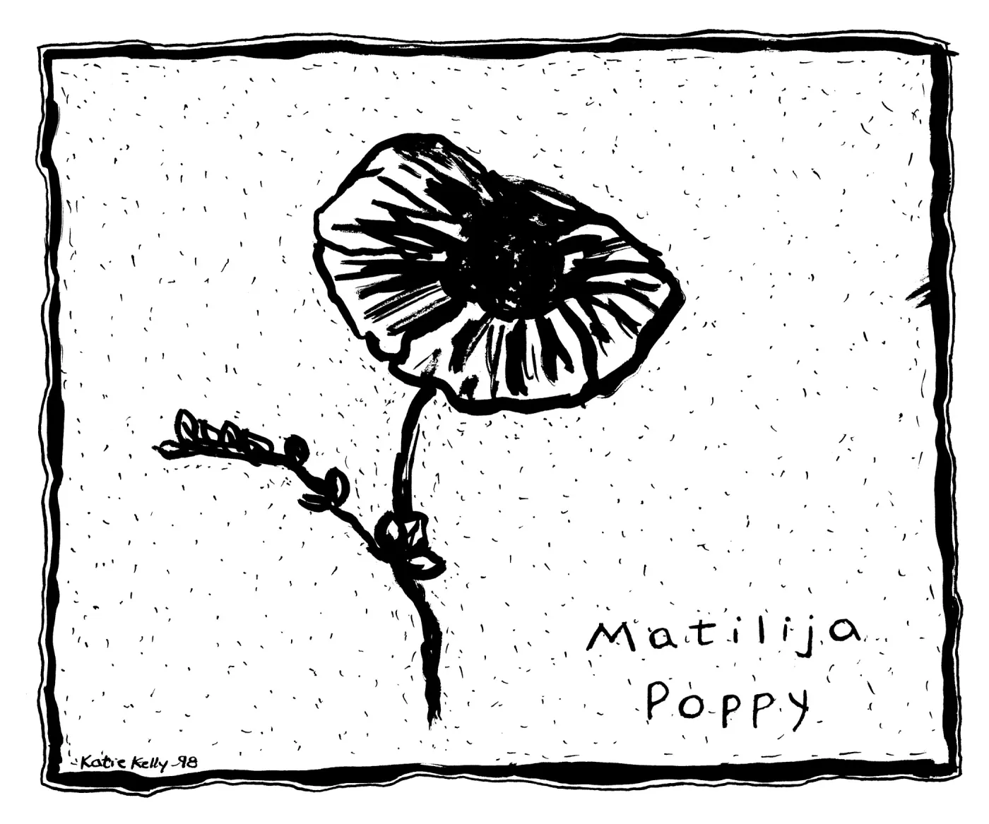 Matilija Poppy