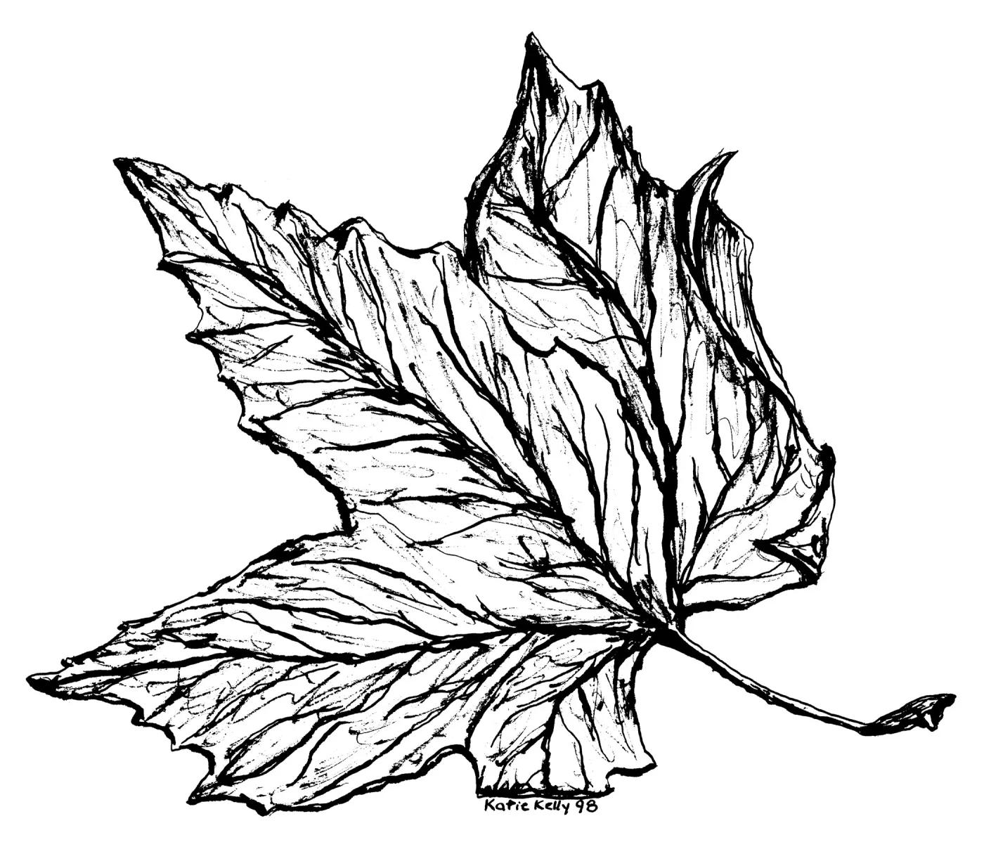 Western Sycamore