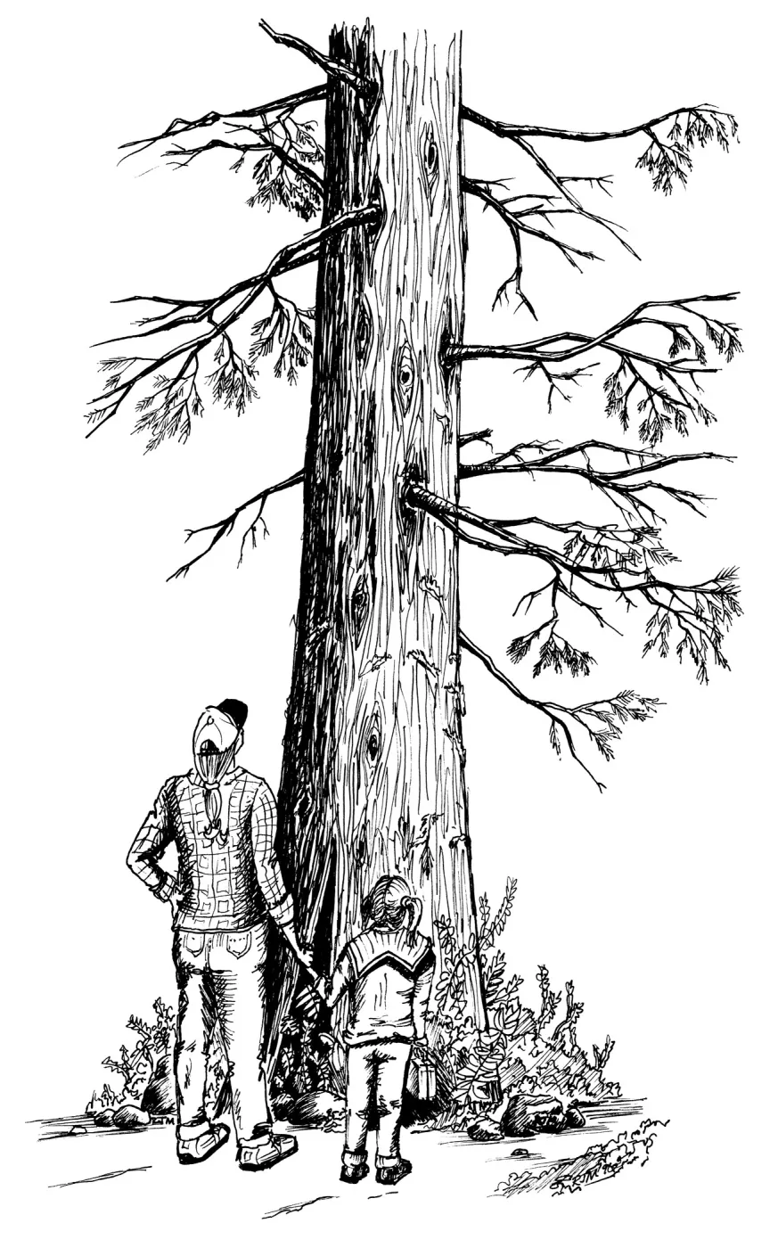 Mother, Daughter and Sequoia (redwood)