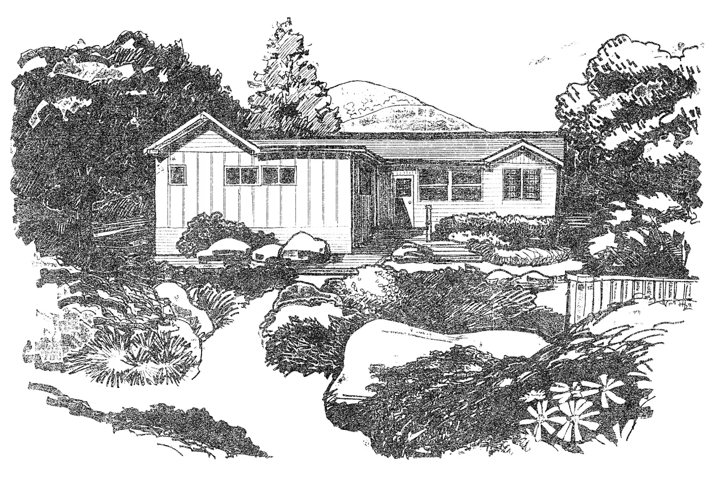 Cottage view from south