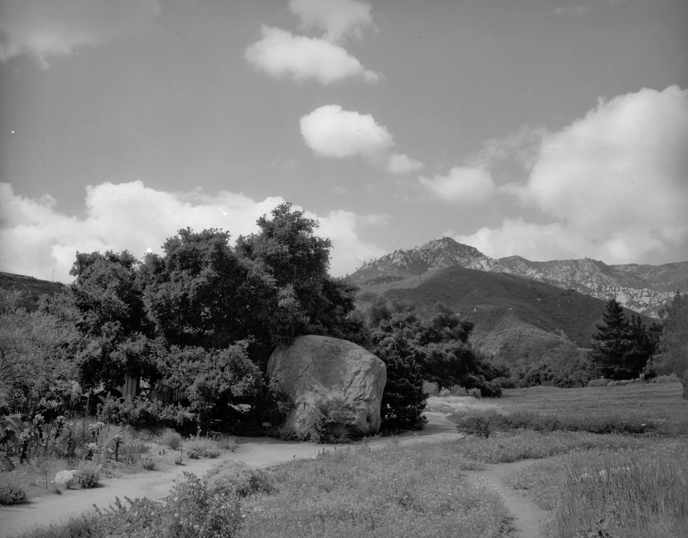 View of the Blaksley Boulder, meadow and desert section with Coastal Live Oak