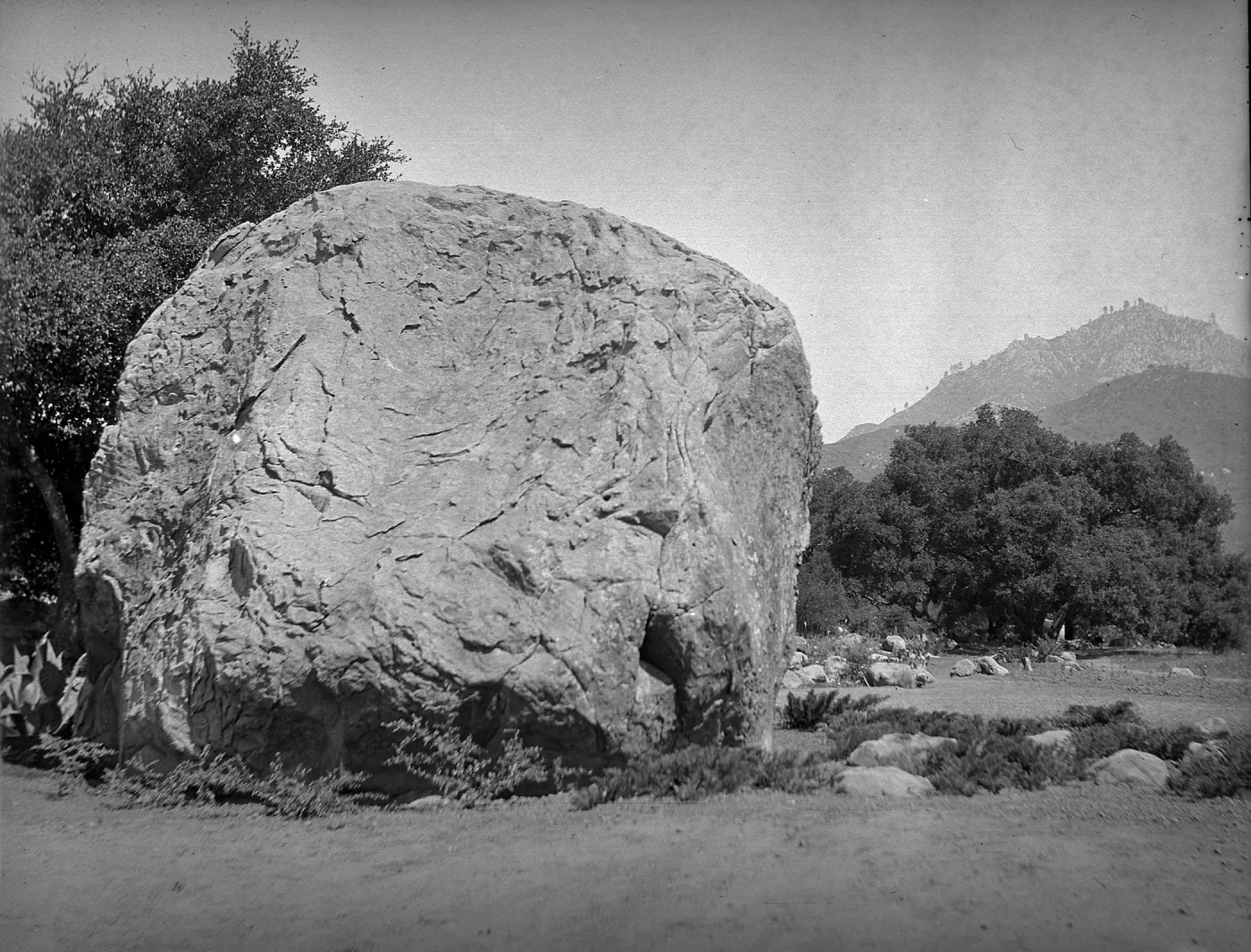 Early view of the Blaksley boulder before planting of the douglas fir