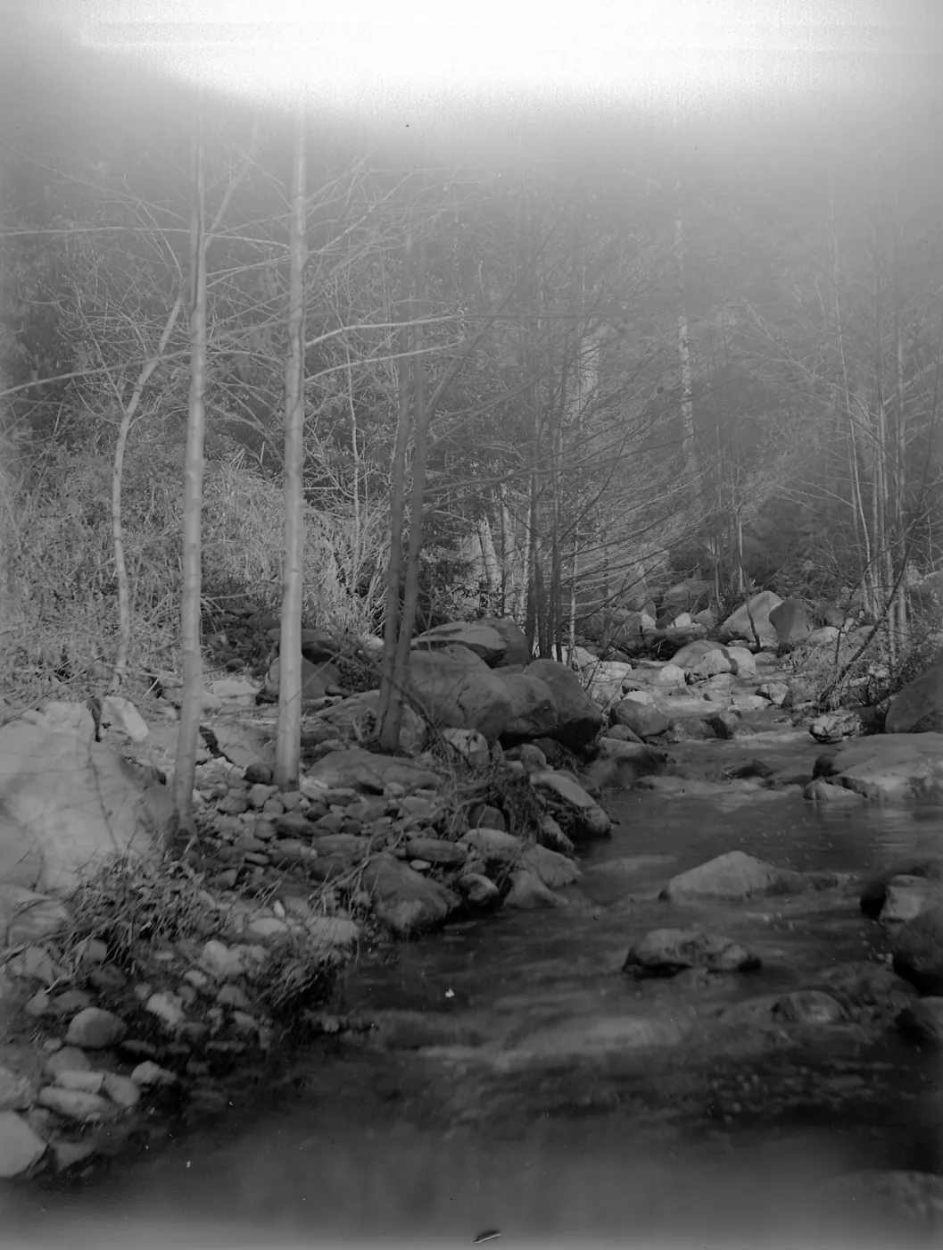 Mission Creek, date unknown