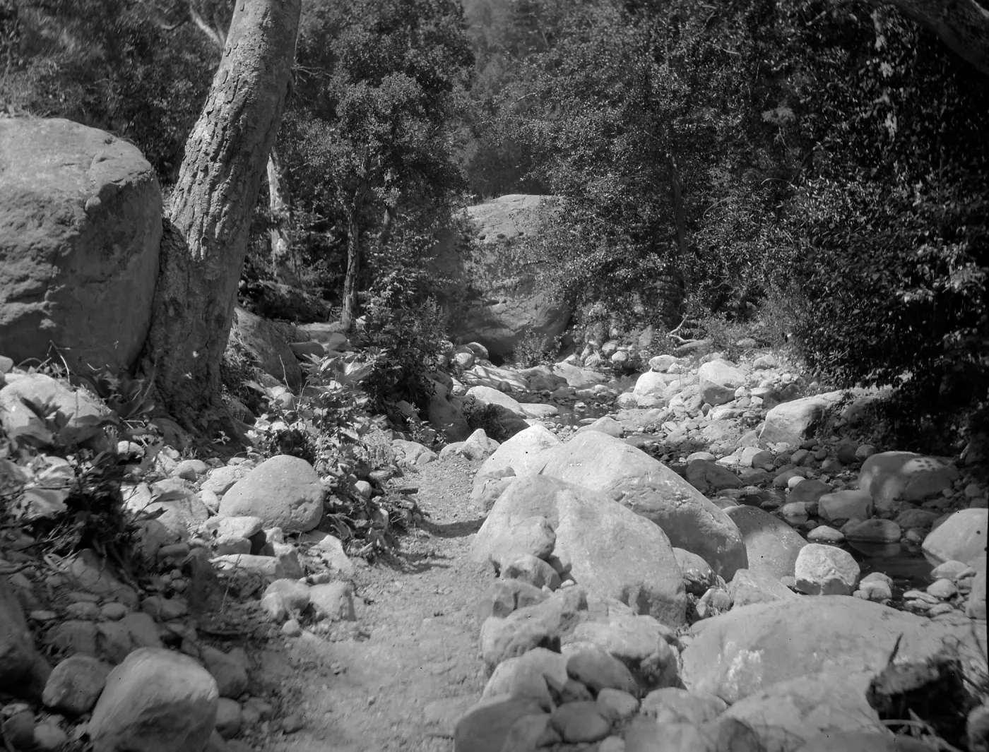 Mission Creek, creek trail?