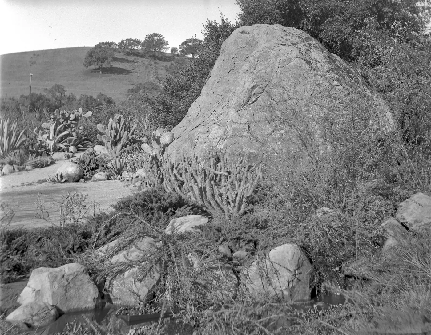 Early view of the Blaksley Boulder, note small pool at base