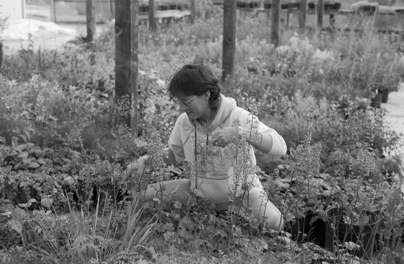 A black and white photo of a woman crouching among nursery plants, tending or inspecting foliage while wearing a hoodie.