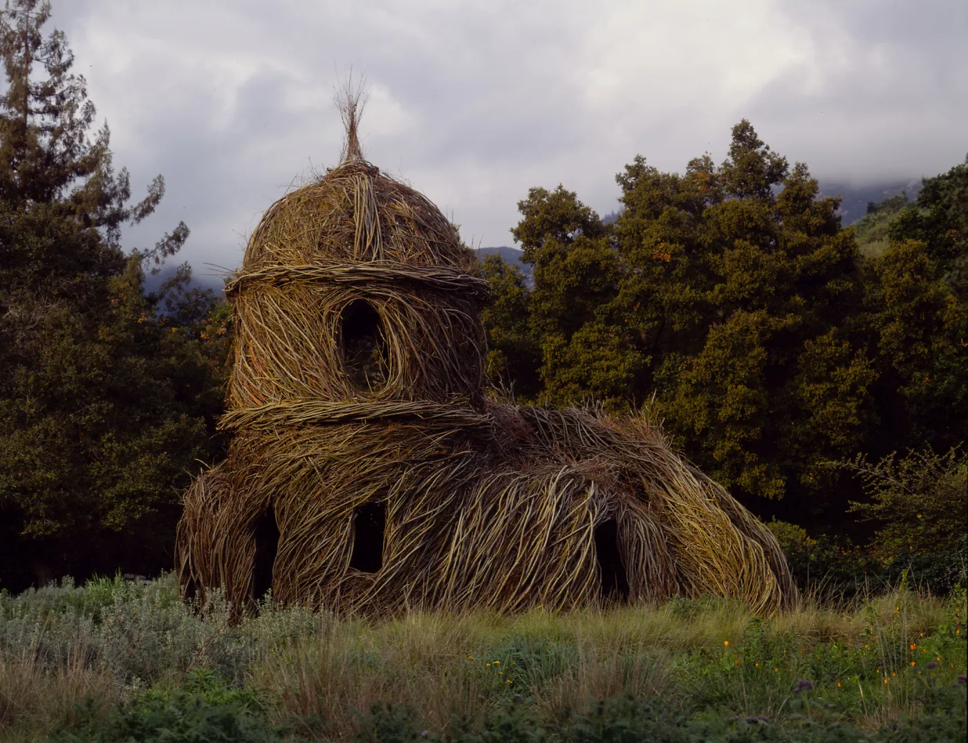 Toad Hall