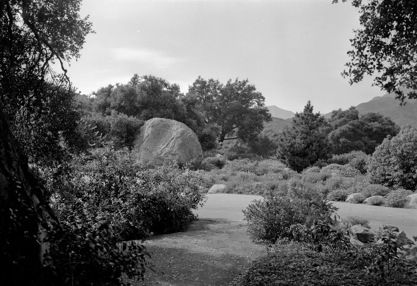 Old entrance road into the Garden