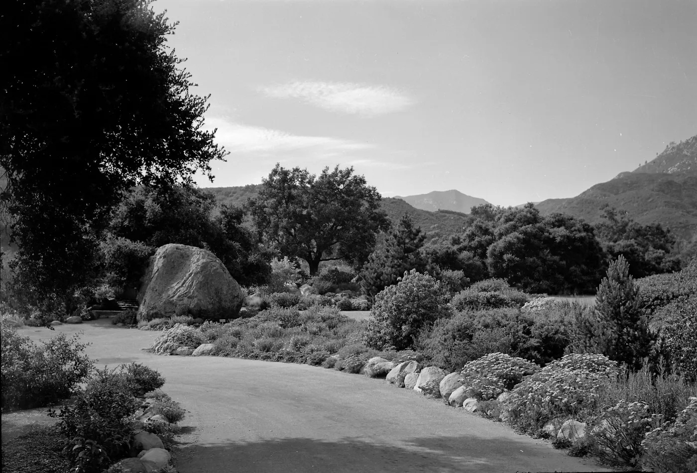 Old entrance road into the Garden
