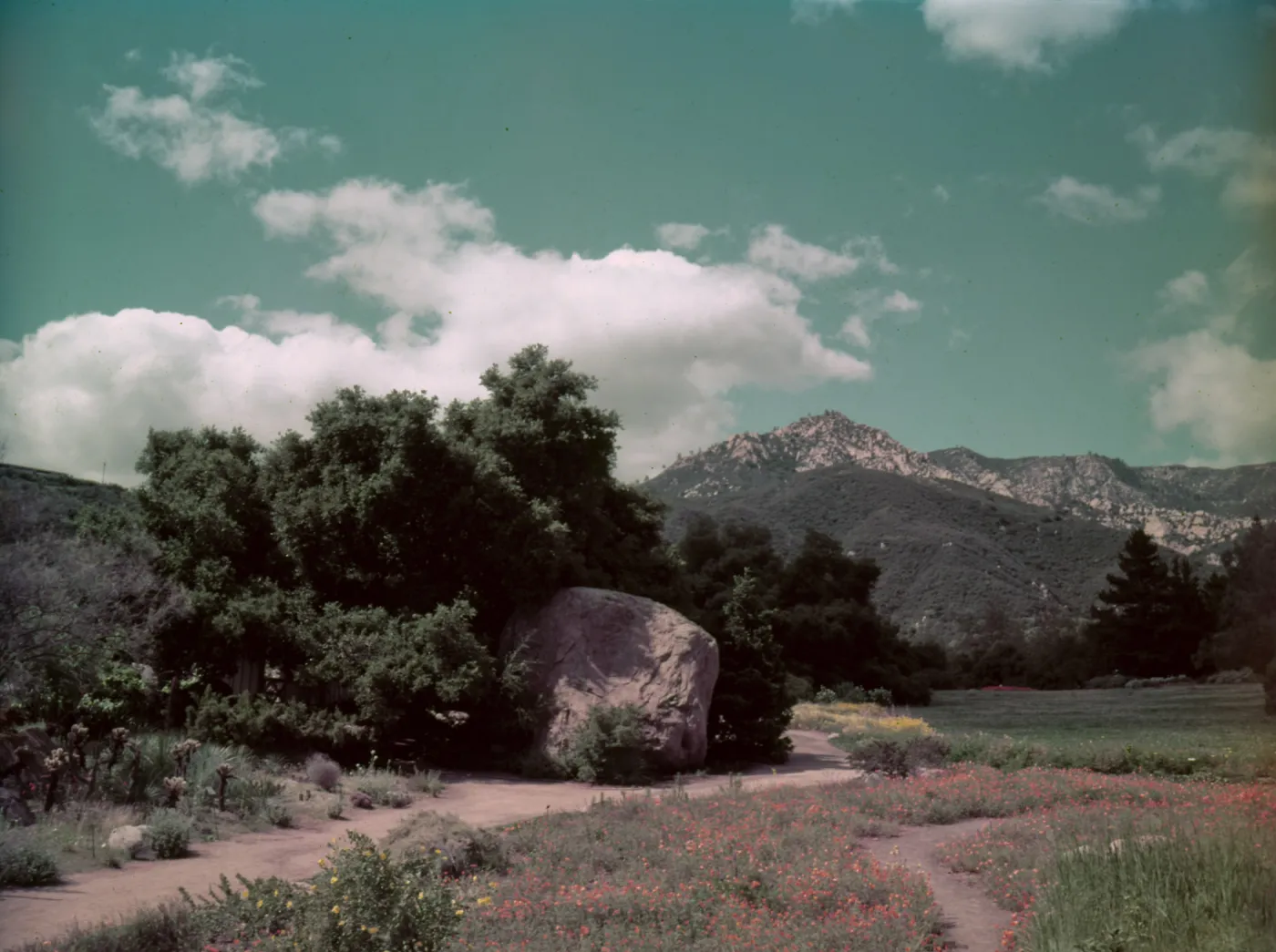 View of Meadow
