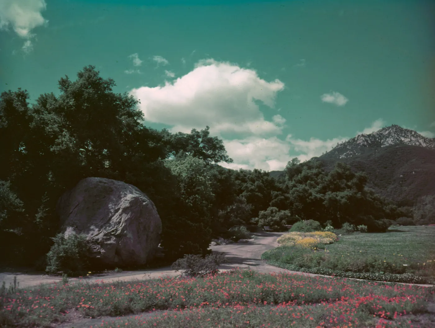View of Meadow