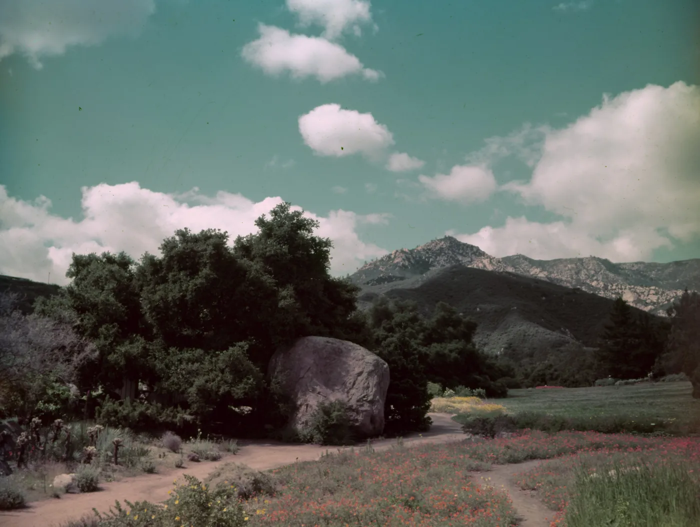 View of Meadow