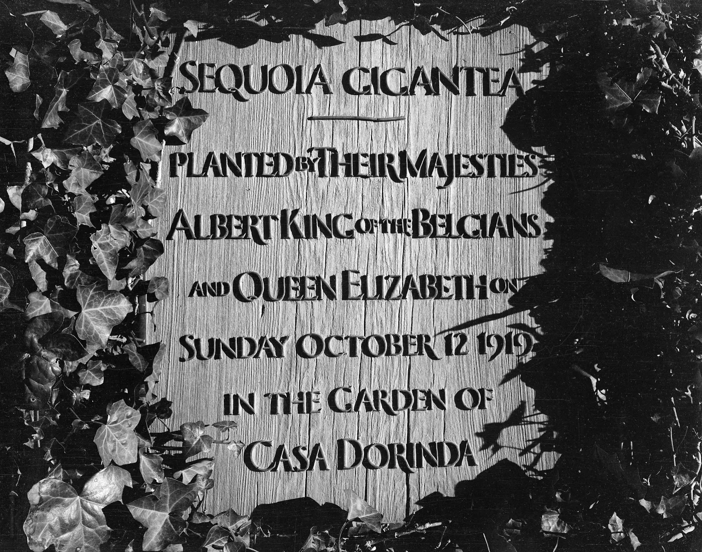 King Albert - Queen Eliabeth - Sequoia Gigantea plaque at Casa Dorinda