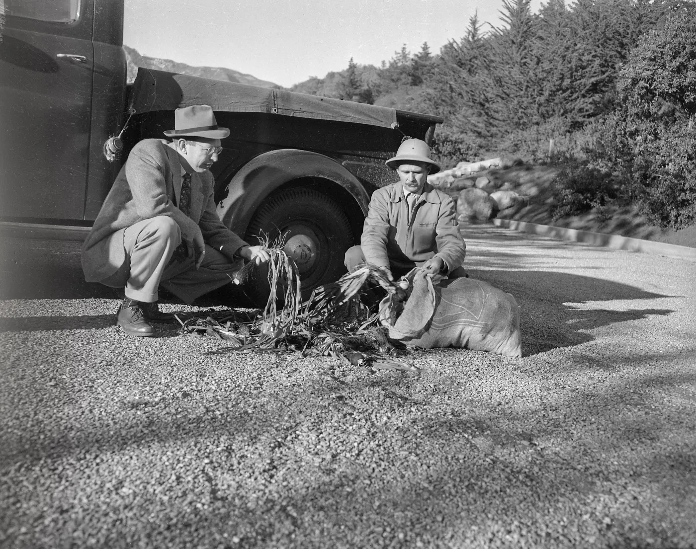 C.H. Muller? and ? with collected bulbs in parking lot