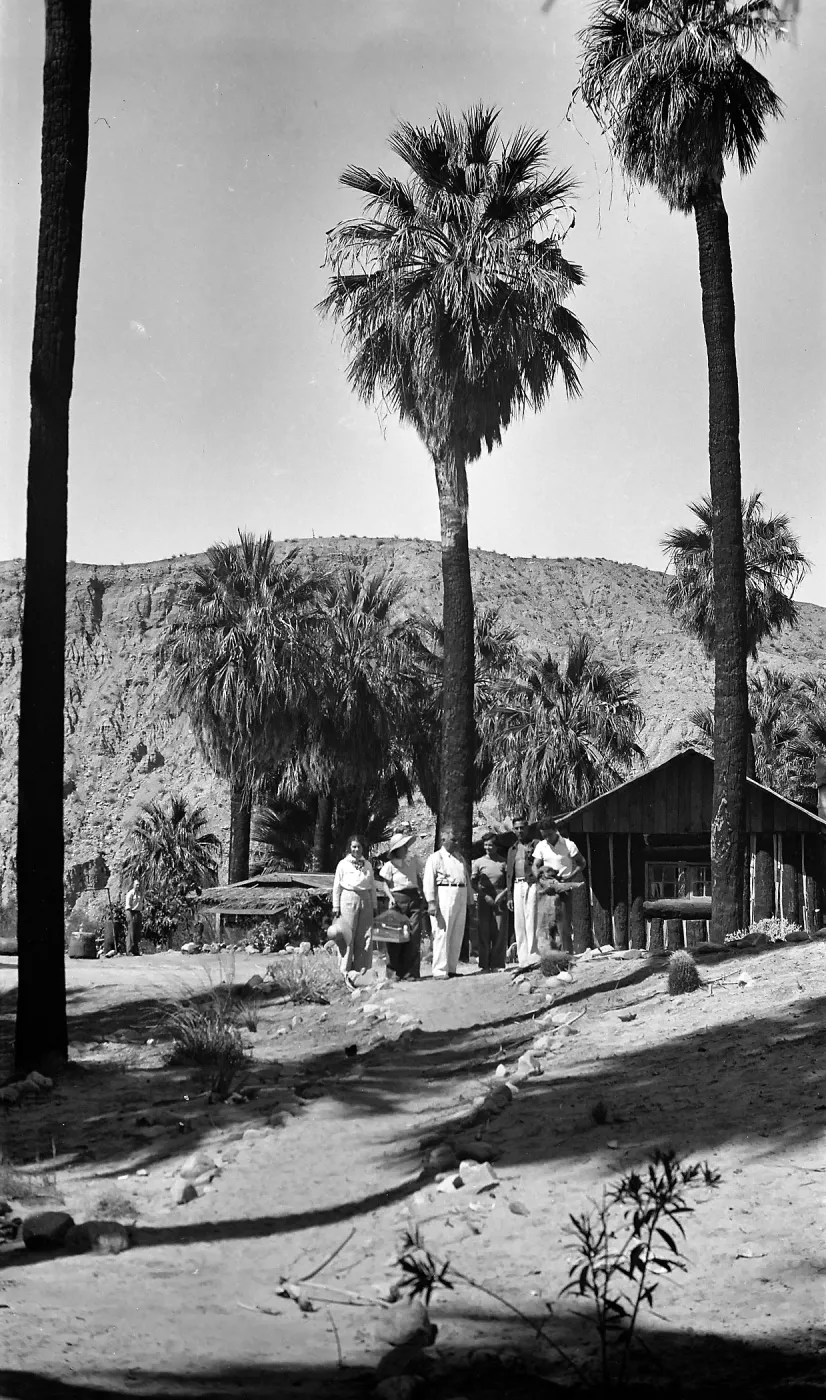 Thousand Palms, people, structures, palms