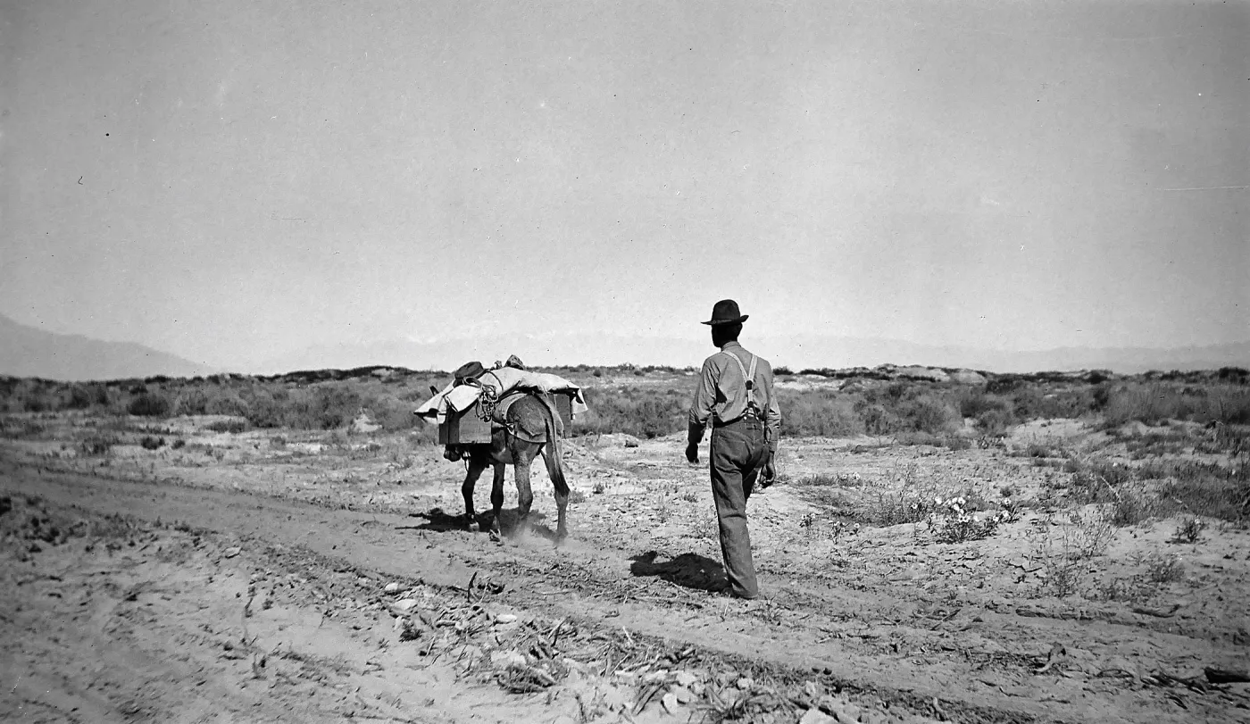 Indio [trip], mule and man in desert