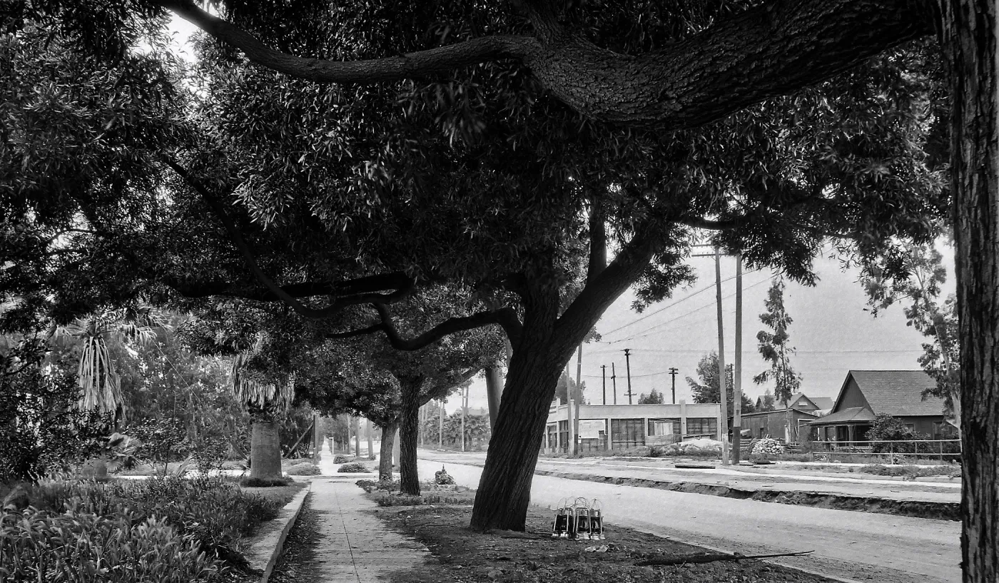 Pasadena street scene