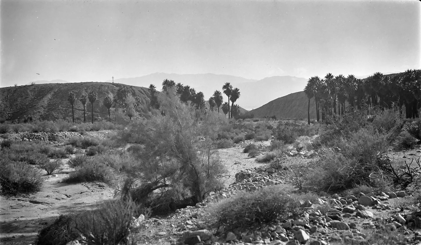 Black and white photograph of a desert plain with brush and palm trees in the foreground and hills and a mountain range in the distance.