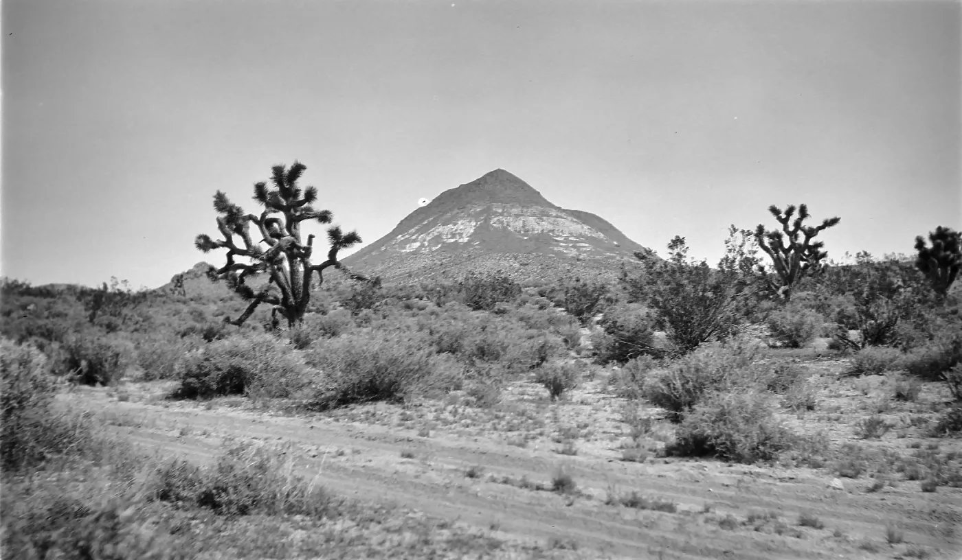 Black and white photograph with a dirt road, desert bushes, cacti, and one large hill in the background.