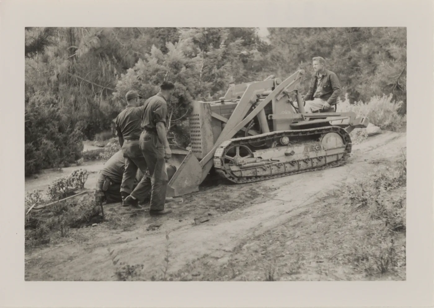 Grounds work, moving a tree with tractor, 1958