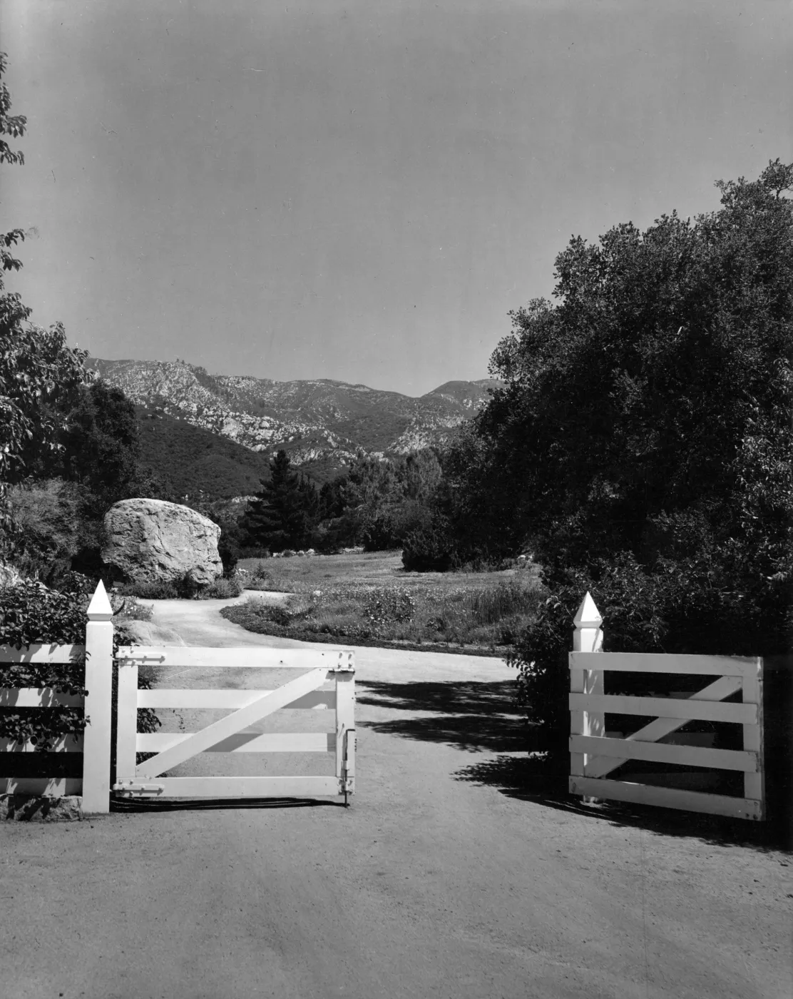 View of the Meadow from the Courtyard