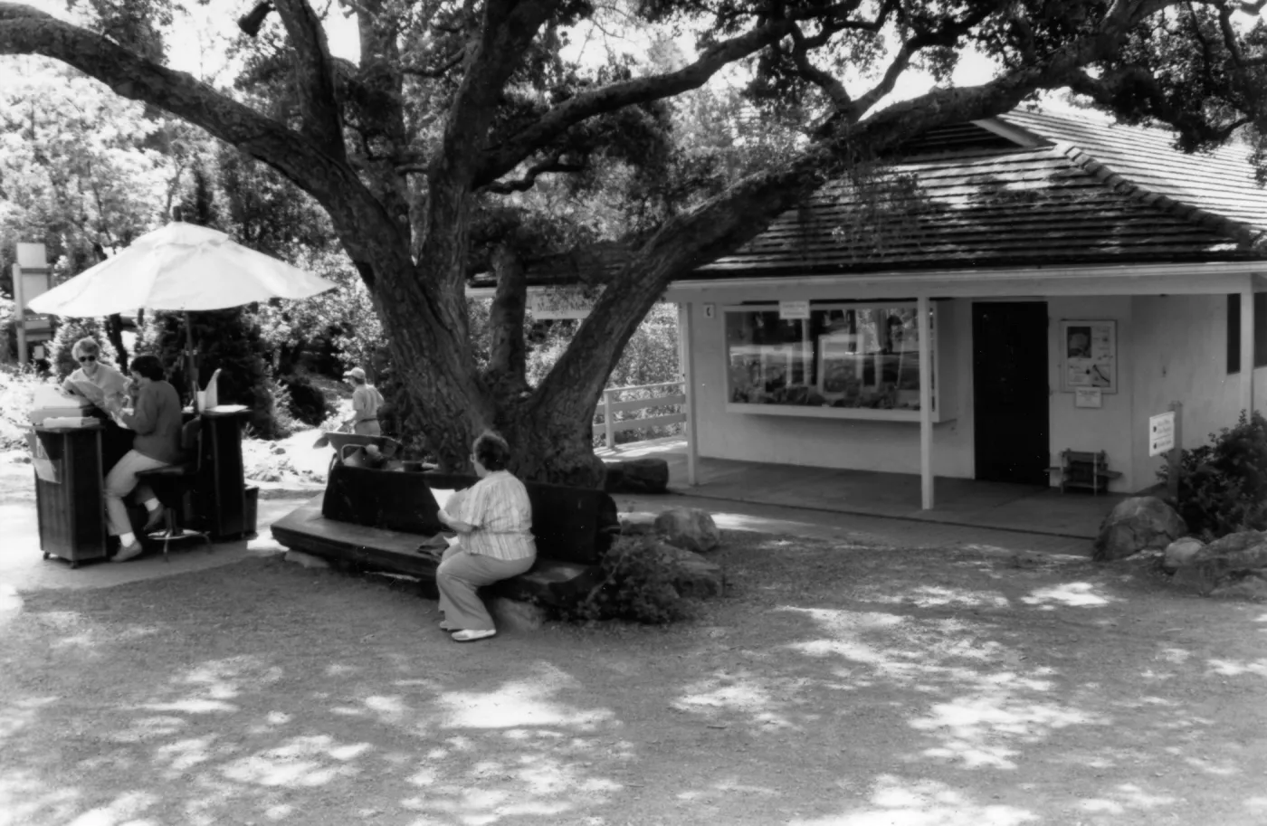 Front entrance, Admissions Counter and Garden Shop (Coastal Live Oak)