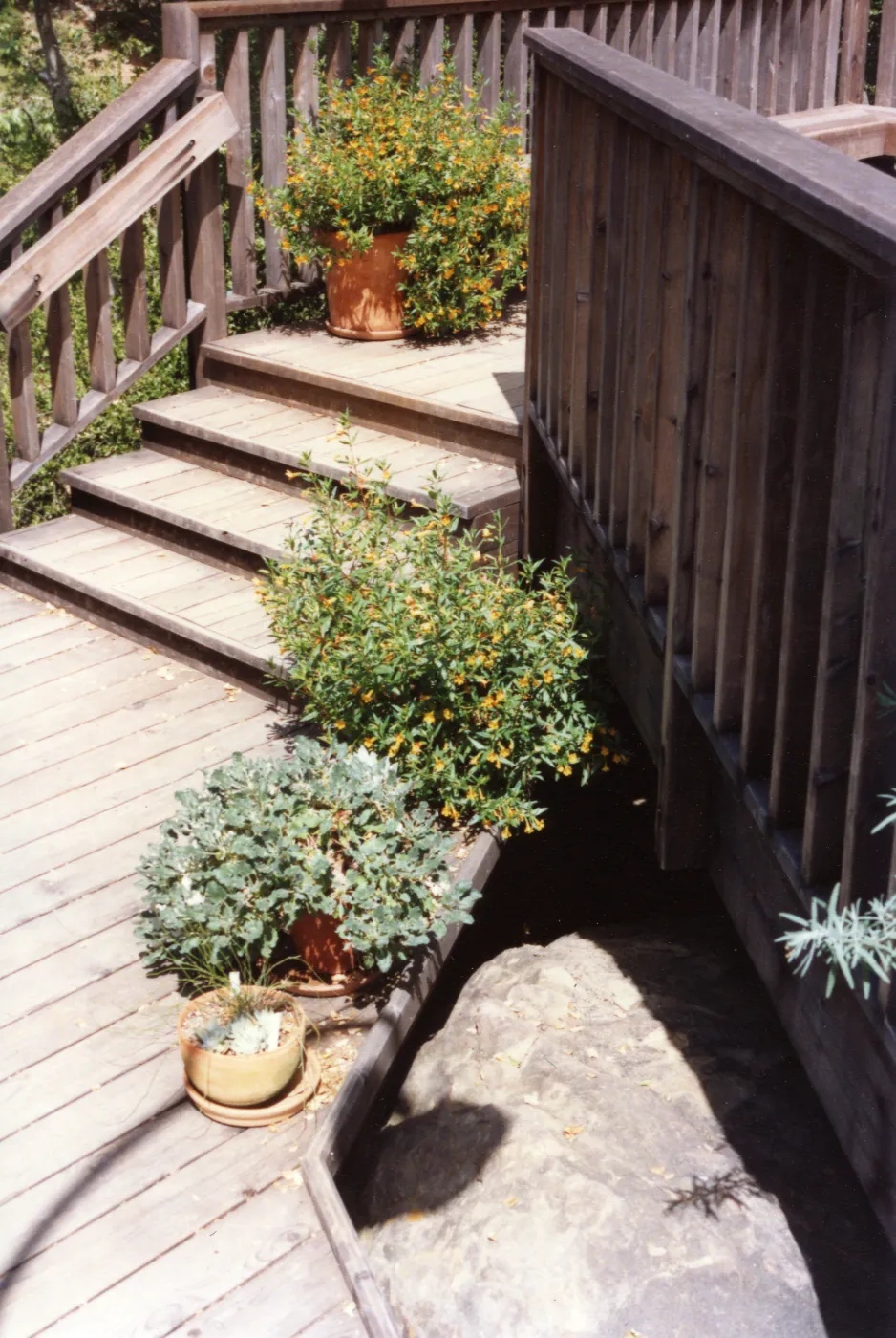 SBBG Home Demonstration Garden Deck with potted plants