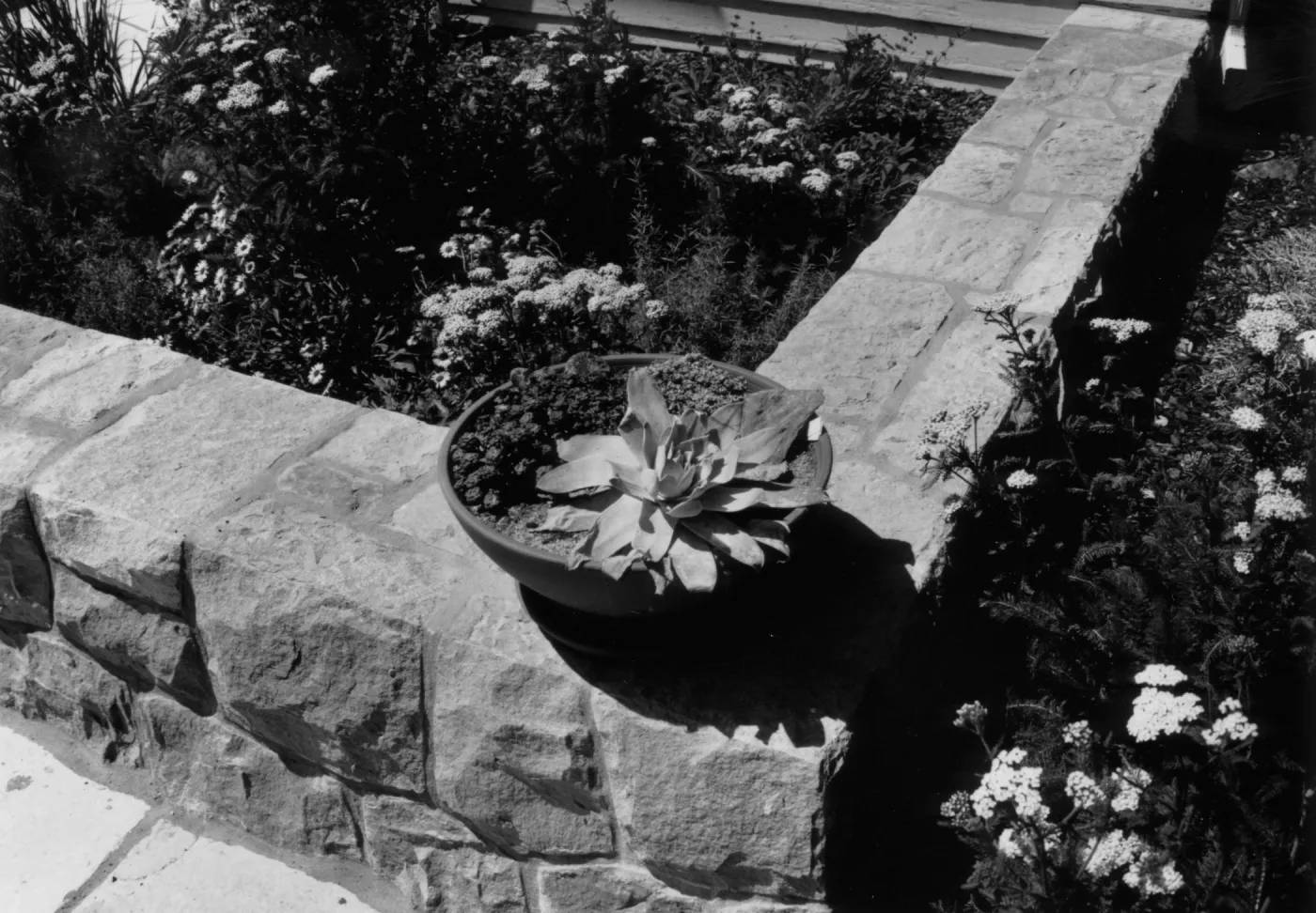 SBBG Home Demonstration Garden