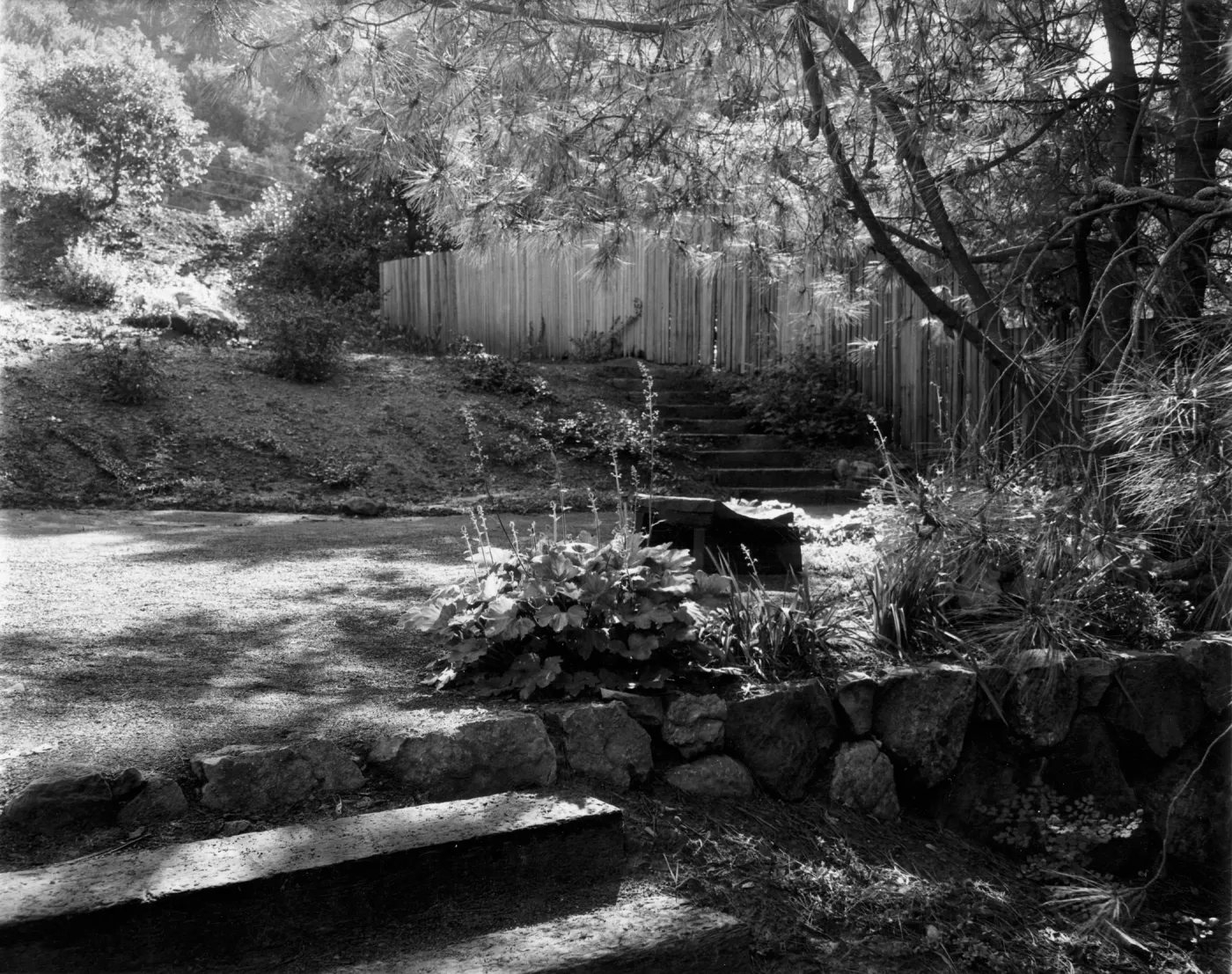 Historic Home Garden in the SBBG Meadow View 