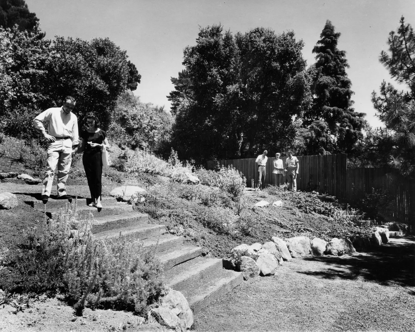 Historic Home Garden in the Meadow View