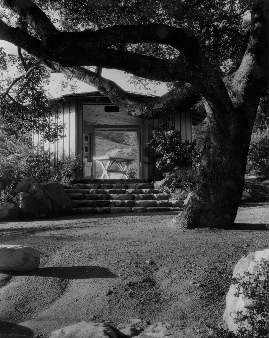 SBBG Information Kiosk (Coastal Live Oak), ï¿½ Josef Muench