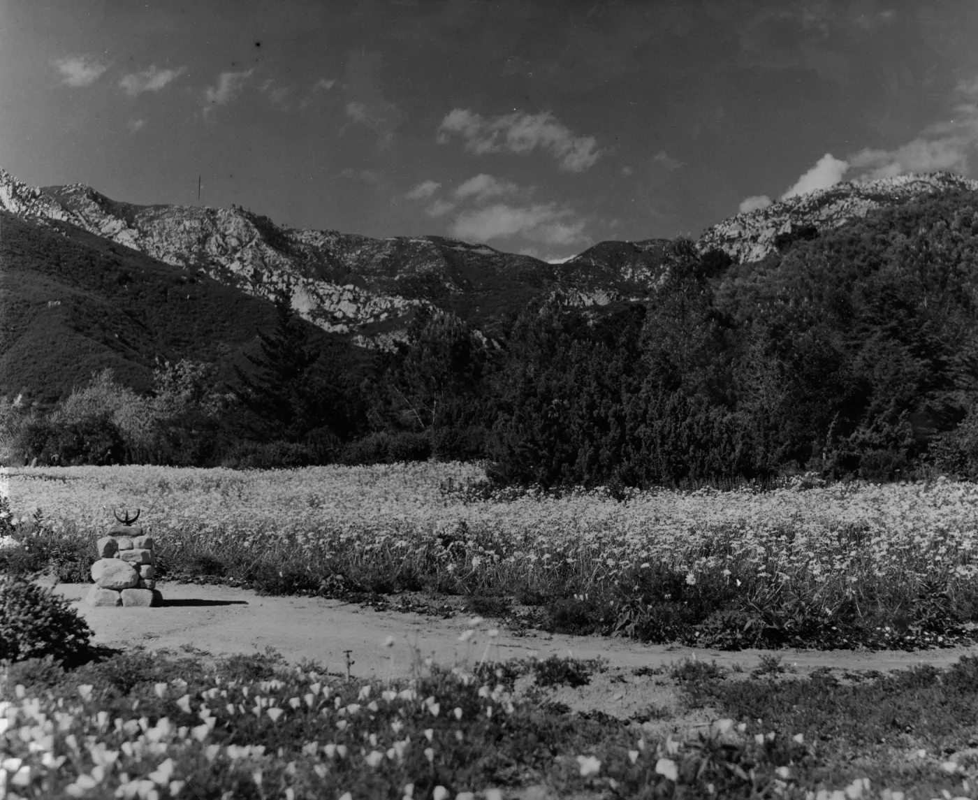SBBG Meadow with Sundial