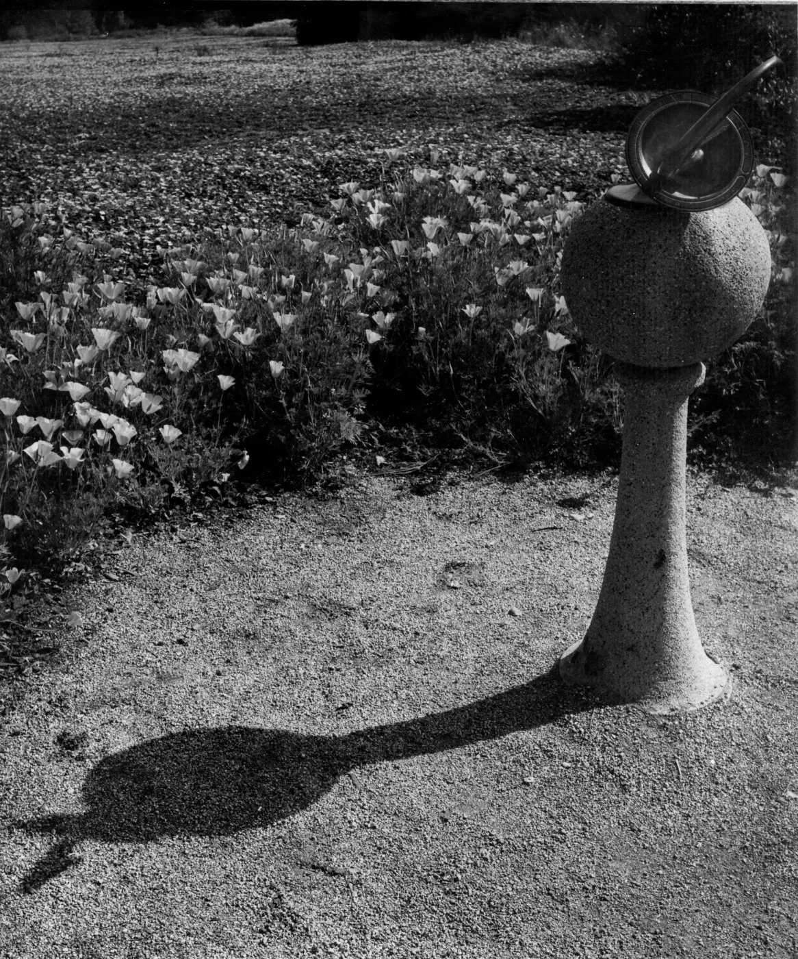 SBBG Meadow with Sundial