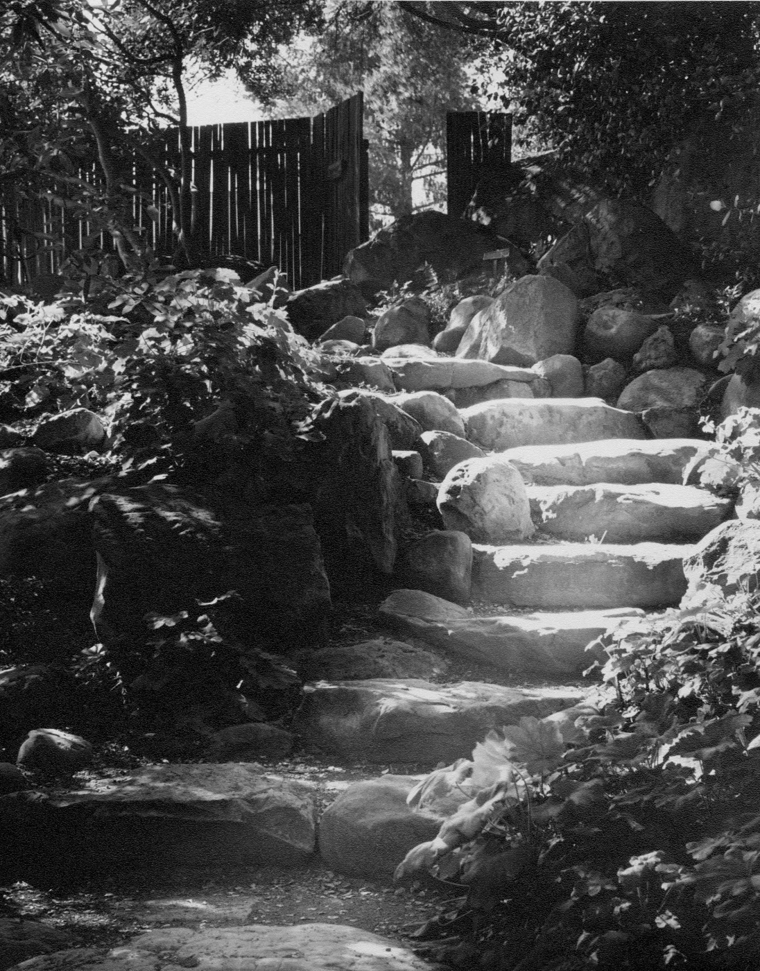SBBG Arroyo Steps, stone steps to Mission Creek crossing in Canyon