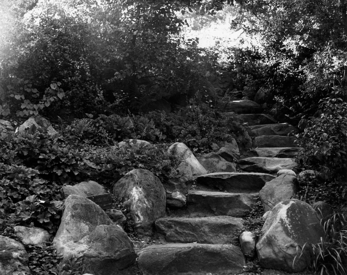 SBBG Arroyo Section, steps leading up to Ceanothus (historic) Section