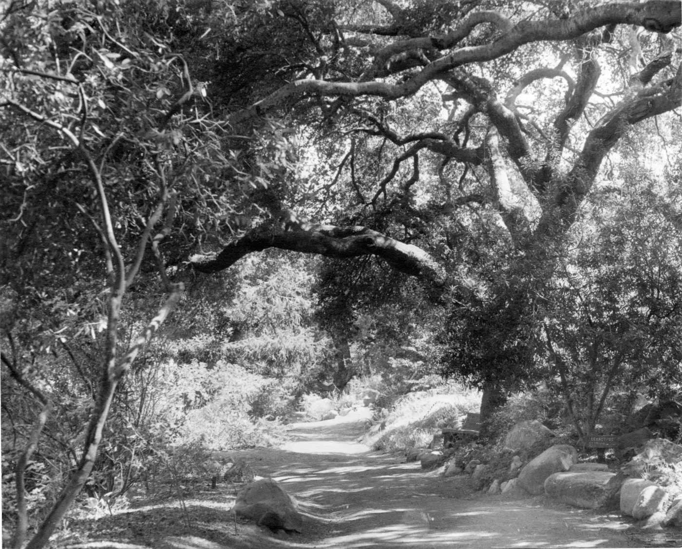 SBBG Arroyo Section