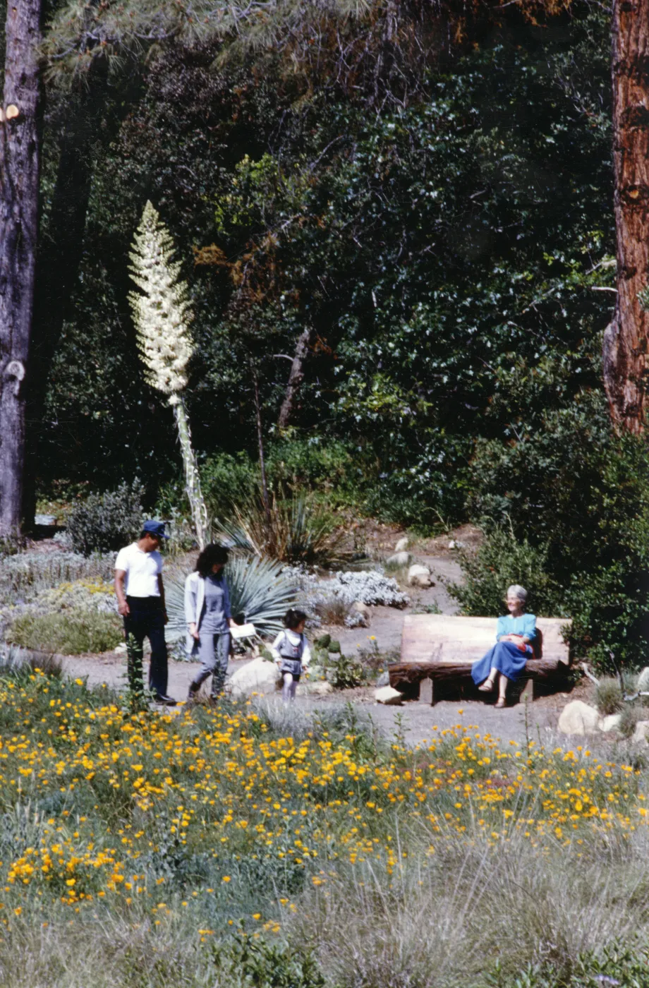 SBBG Visitors, wood bench, Meadow View