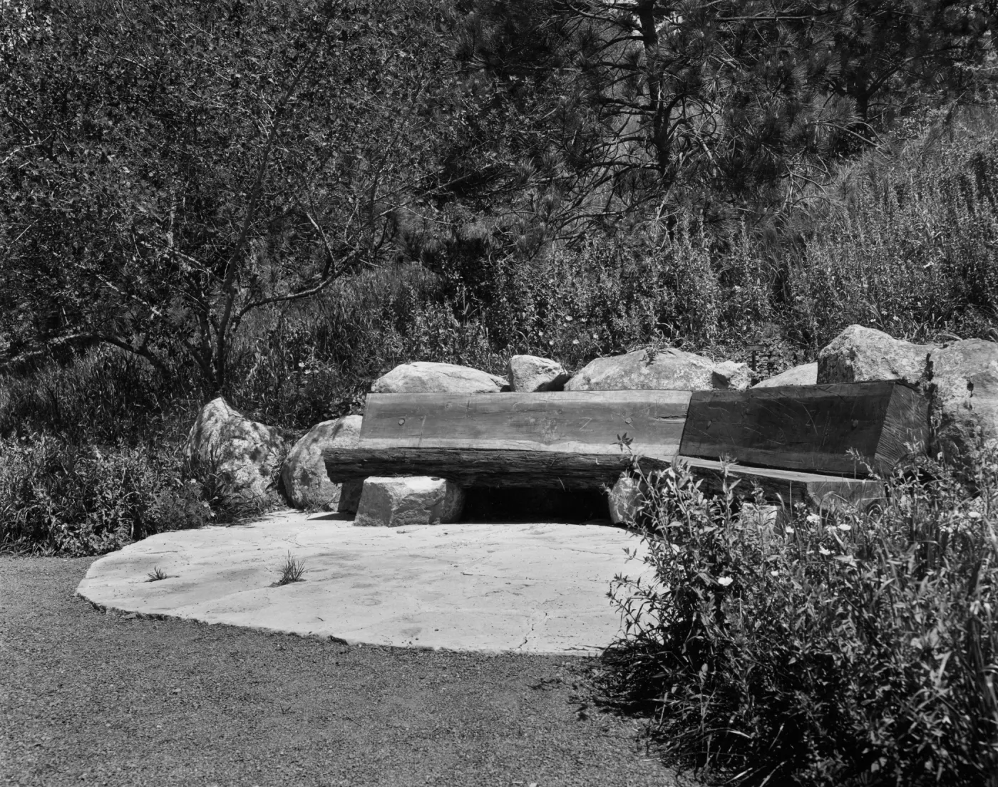 wood bench on Porter Trail, SBBG