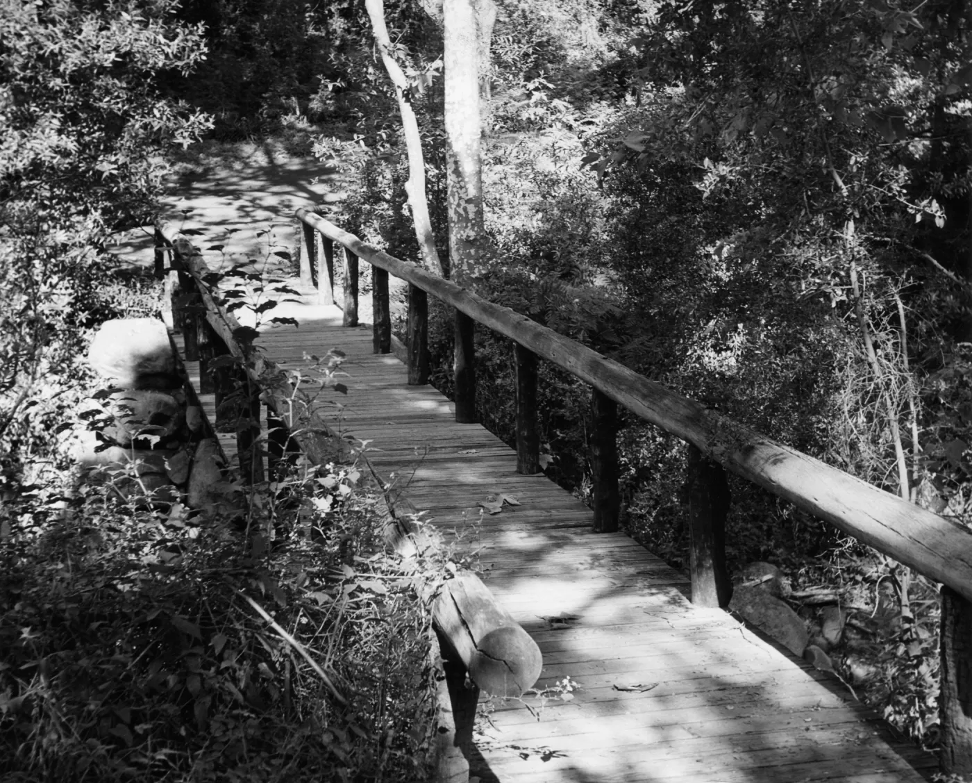 SBBG Campbell Bridge