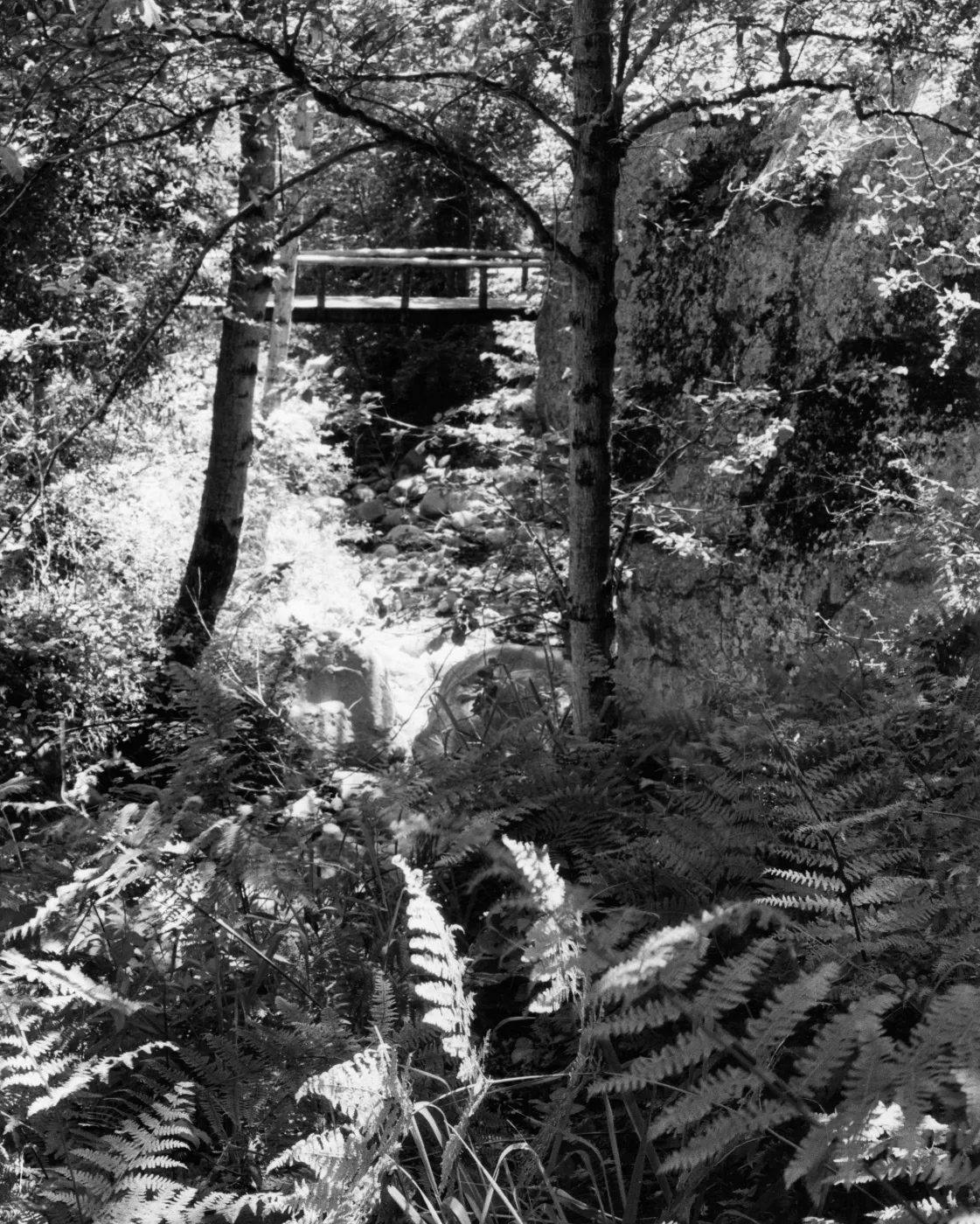 Campbell Bridge, Mission Canyon