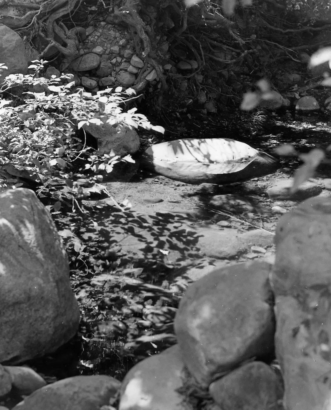 Mission Creek pool, SBBG