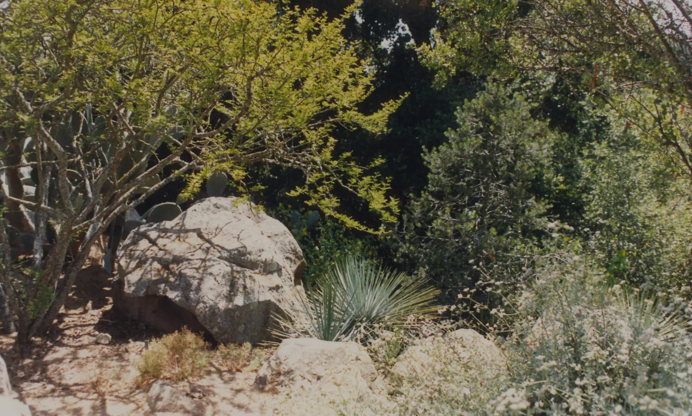 Desert Section, SBBG