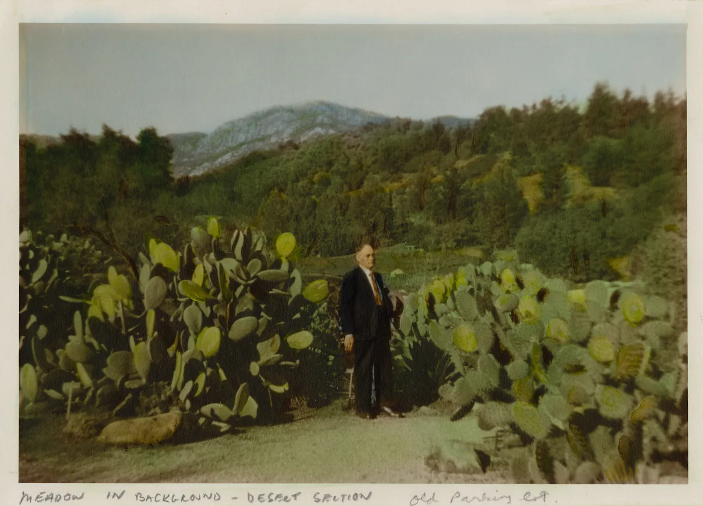 Old Desert Section, Meadow in background, old Parking Lot